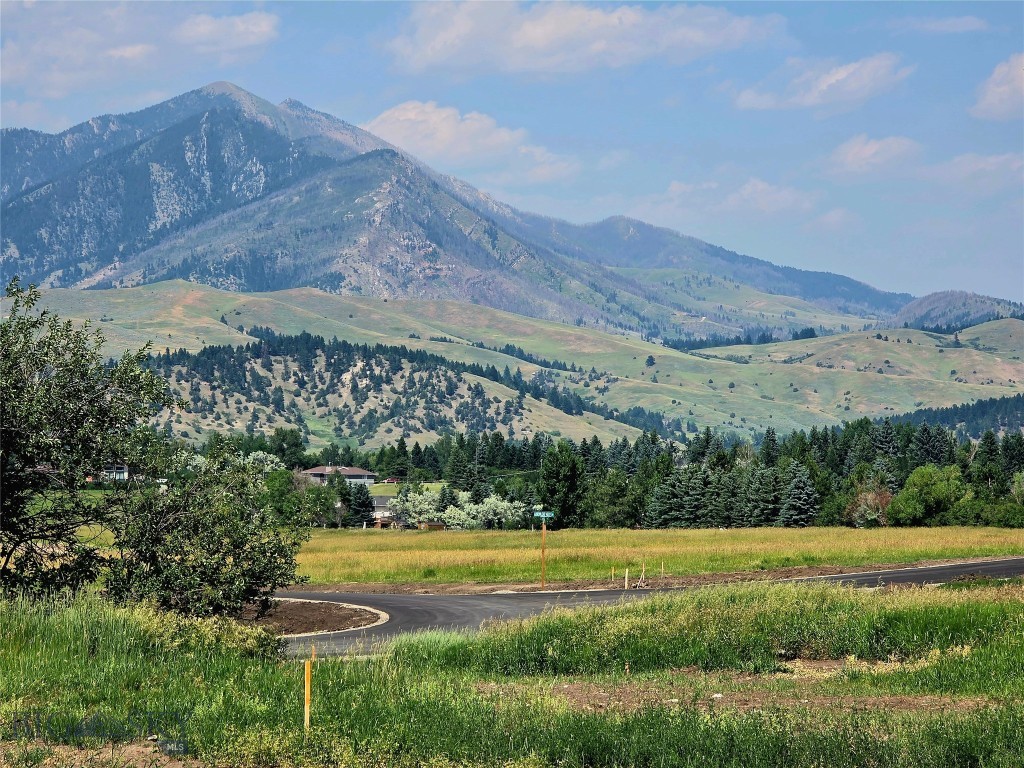 Tbd Lot 17 Boreal Way Property Photo 27