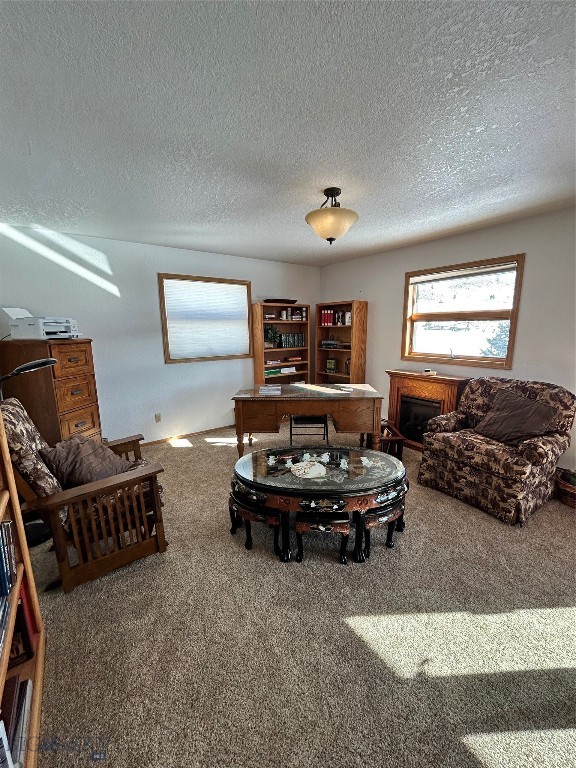 1105 Clark Creek Property Photo 34