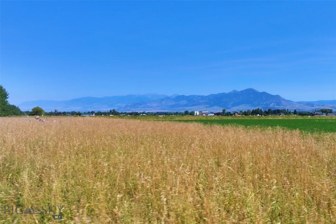 Lot 33 Glendale Loop Property Photo 11