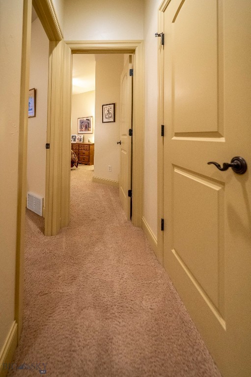 28 Alena Court Property Photo 36