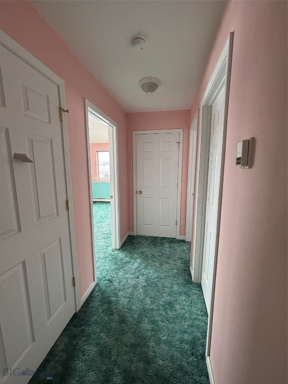 263 Hercules Road Property Photo 22
