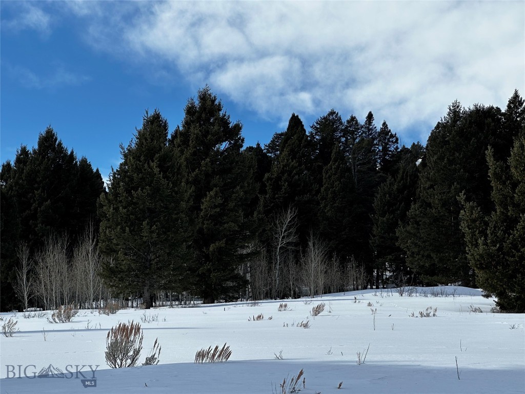 Parcel 23 Buffalo Lance Ranch Property Photo 3