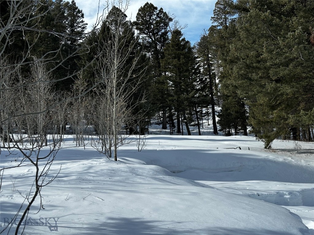 90 Buffalo Lance Road Property Photo 25