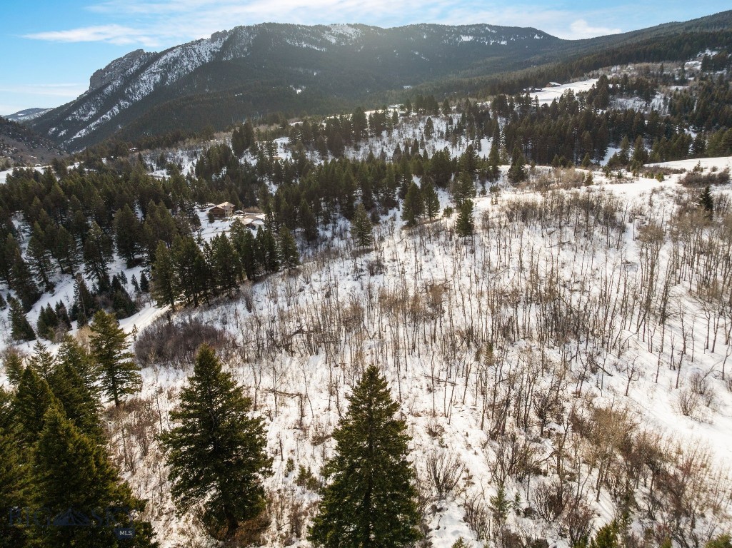 Tbd Moose Hollow Road Property Photo 6