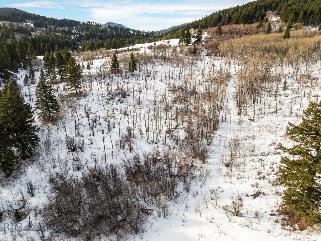 Tbd Moose Hollow Road Property Photo 21