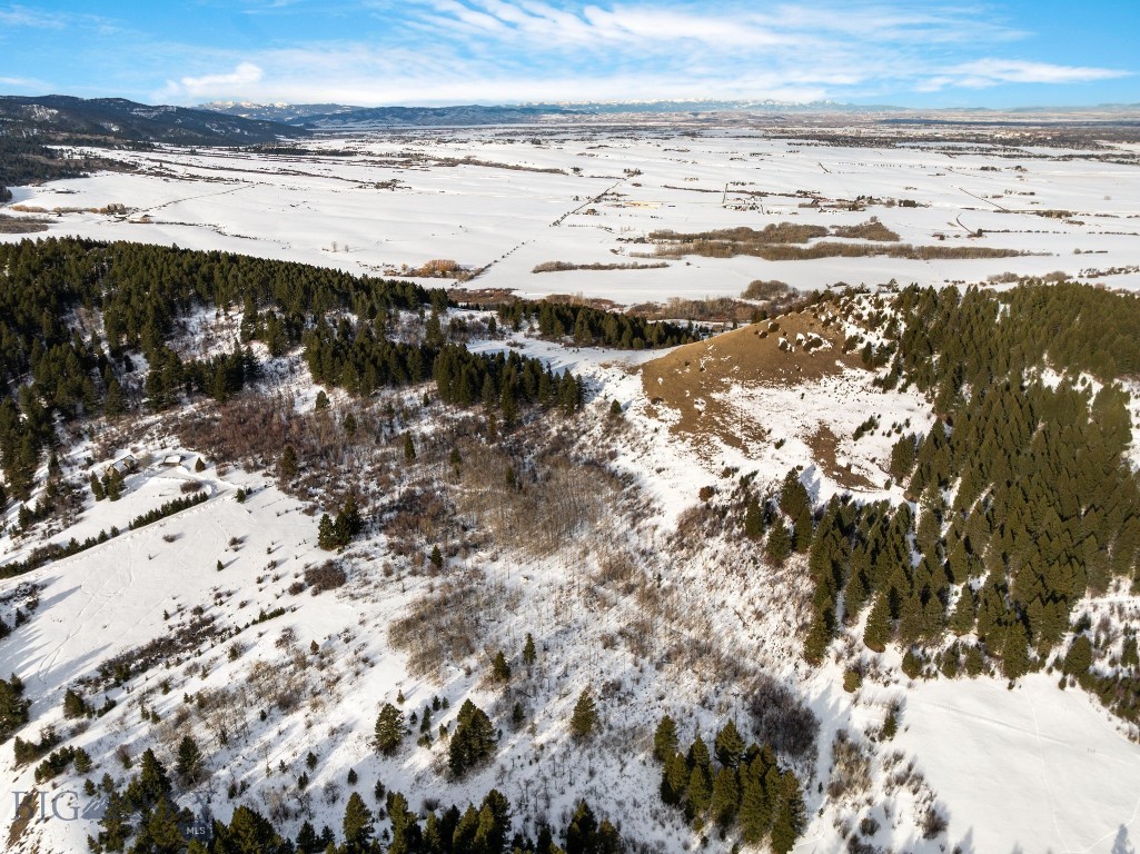 Tbd Moose Hollow Road Property Photo 22