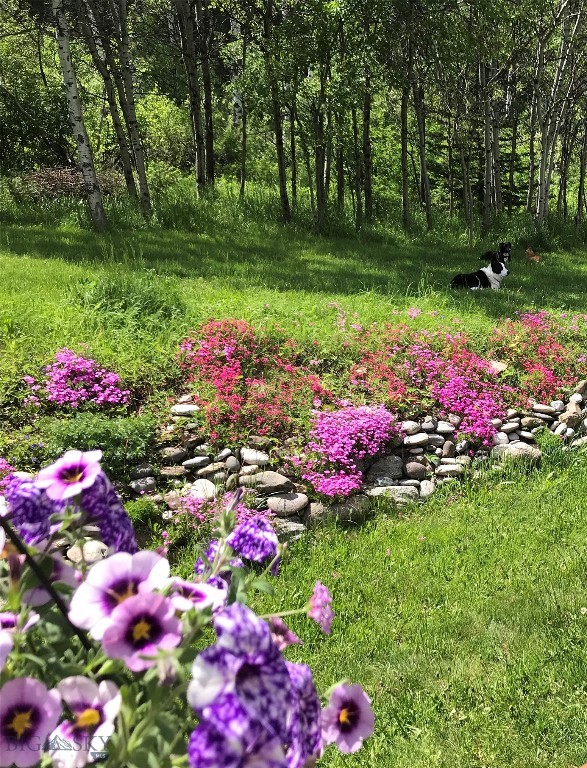 13515 Cottonwood Canyon. Road Property Photo 84