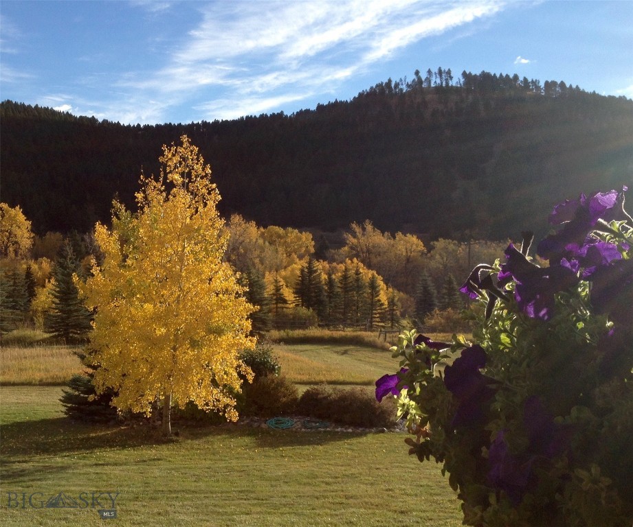 13515 Cottonwood Canyon. Road Property Photo 85