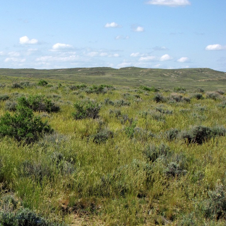 Tbd Takota Lane Property Photo 29