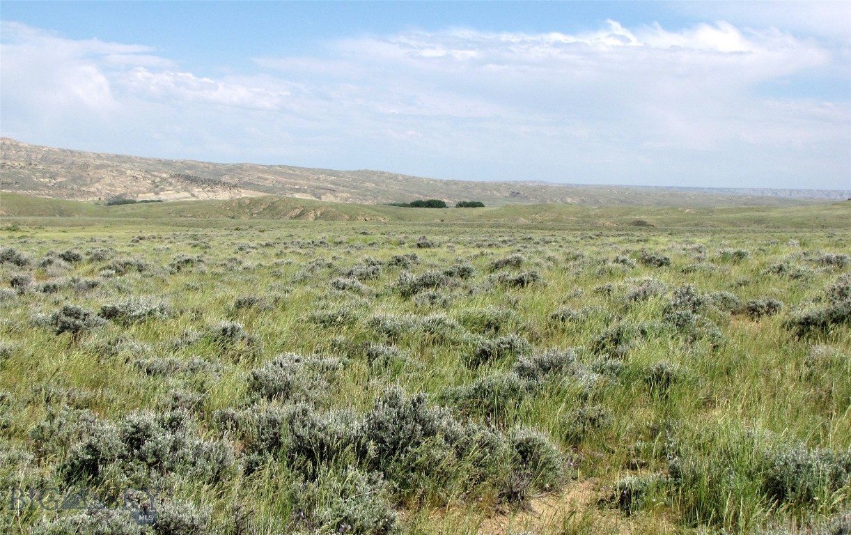 Tbd Roberts Trail E Property Photo 4