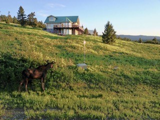 200 Peak Road Property Photo 40