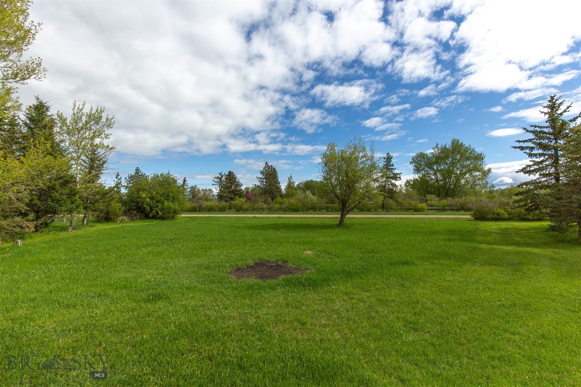 175 Vandyke Road Property Photo 8