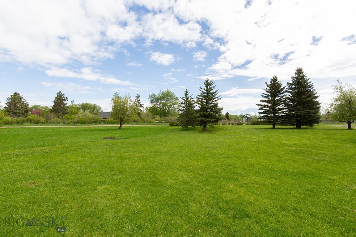 175 Vandyke Road Property Photo 88