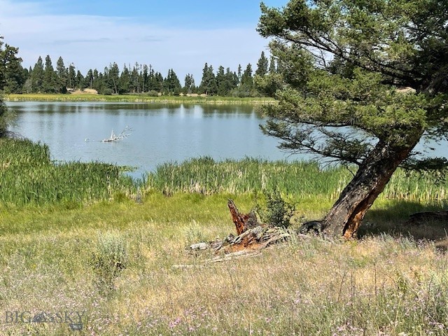 Tbd Braziel Creek Property Photo