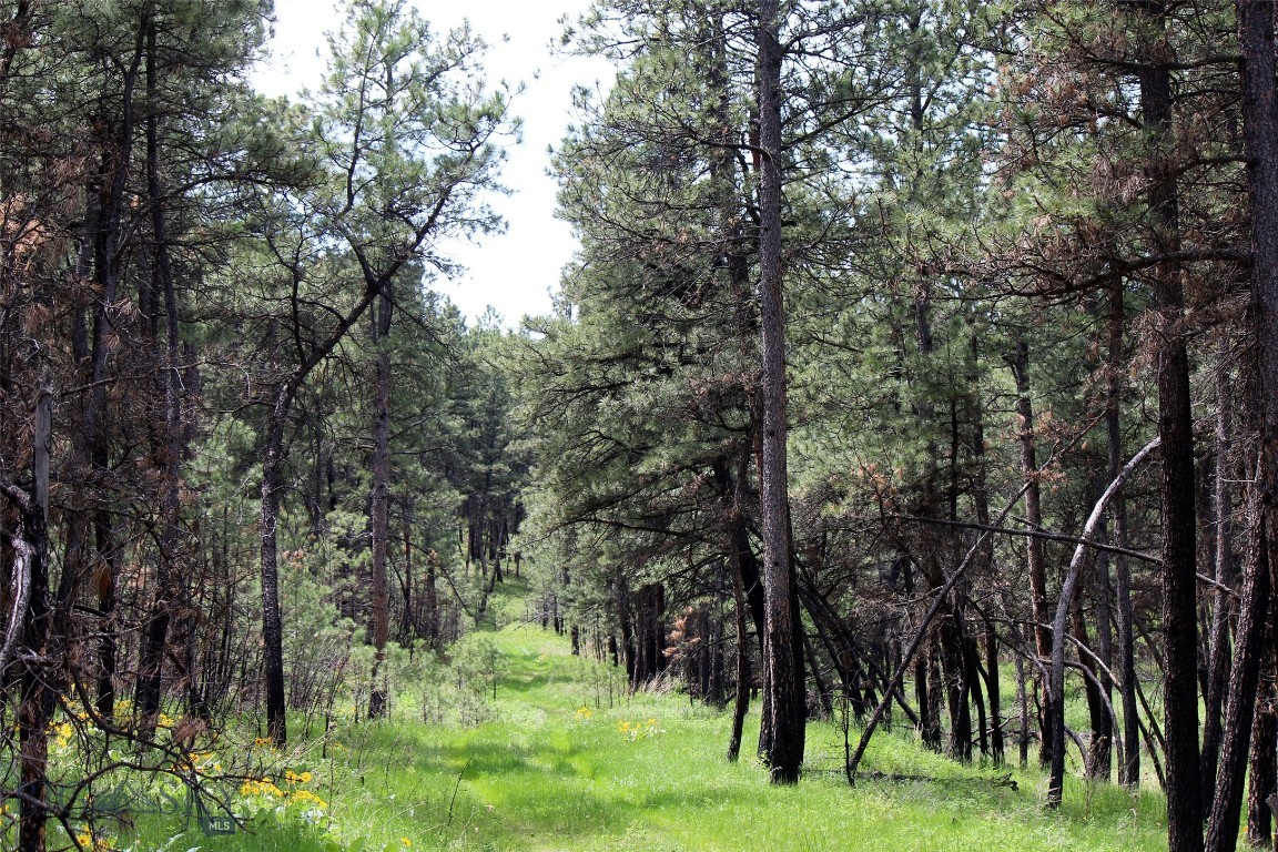Roundup Real Estate Listings Main Image