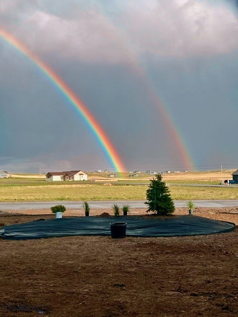 42 Wild Rye Place Property Photo 18