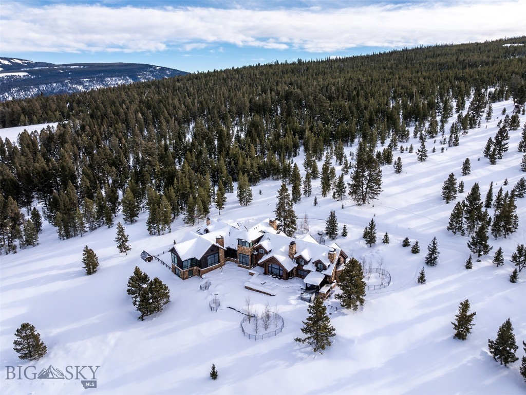 1200 Towering Pines Property Photo 4