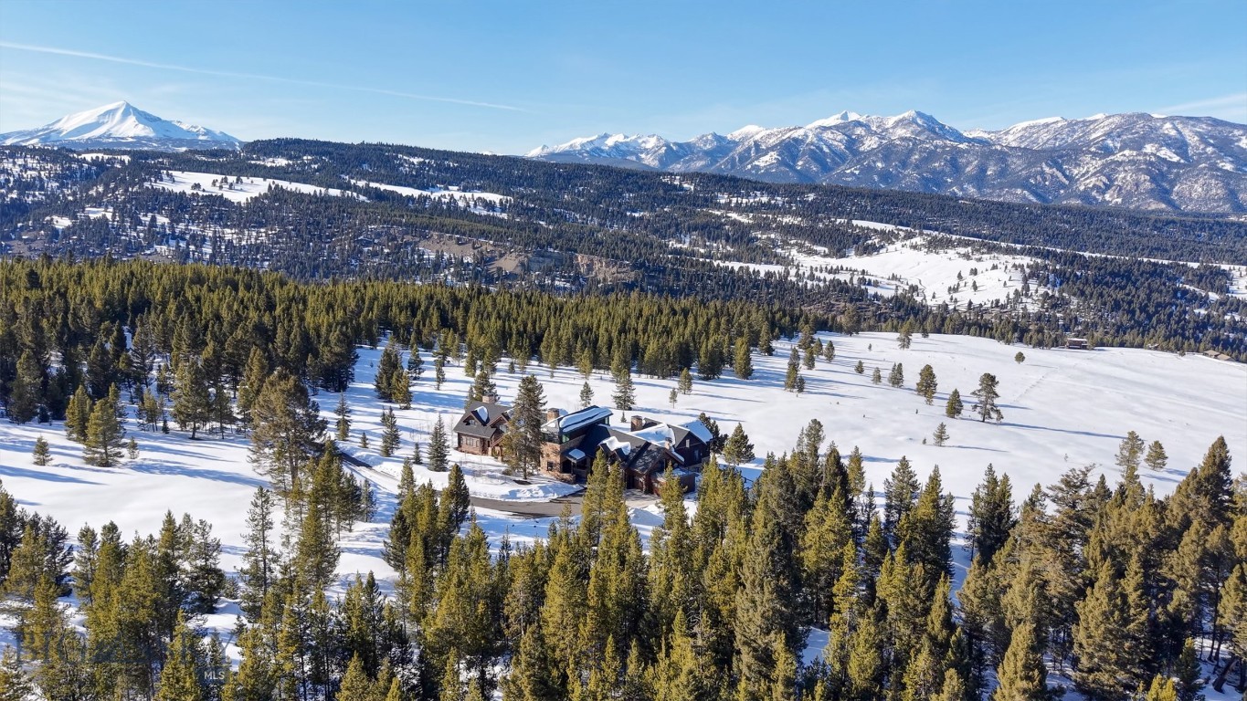 1200 Towering Pines Property Photo 84