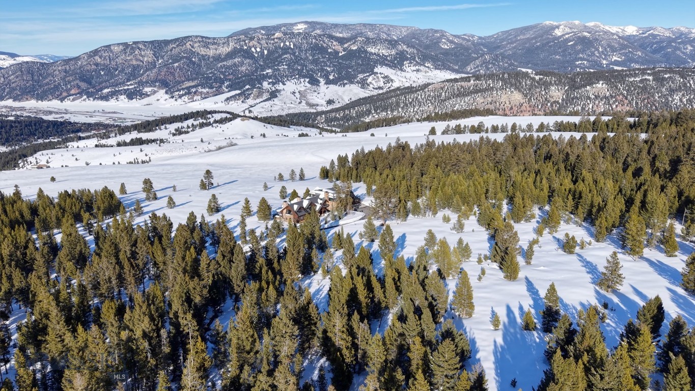 1200 Towering Pines Property Photo 85