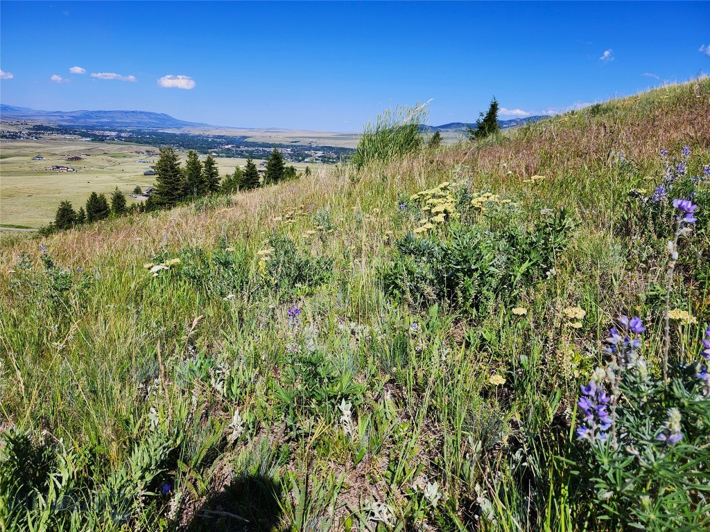 Tbd Wineglass Loop S Property Photo 12