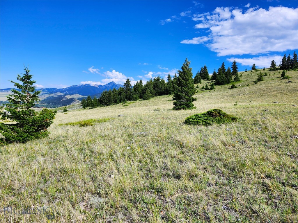 Tbd Wineglass Loop S Property Photo 14