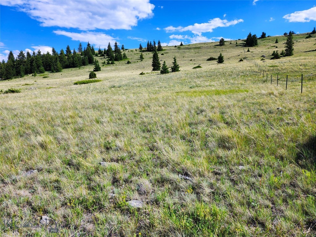 Tbd Wineglass Loop S Property Photo 15