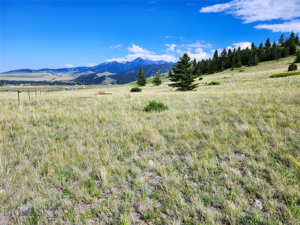 Tbd Wineglass Loop S Property Photo 16