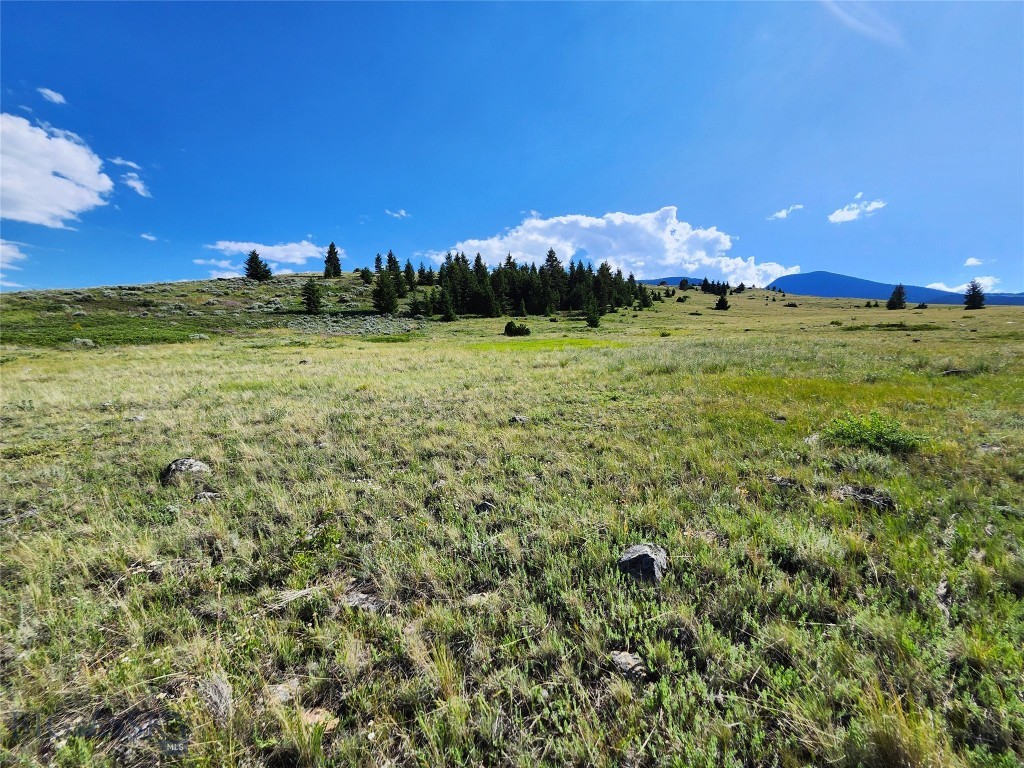 Tbd Wineglass Loop S Property Photo 17