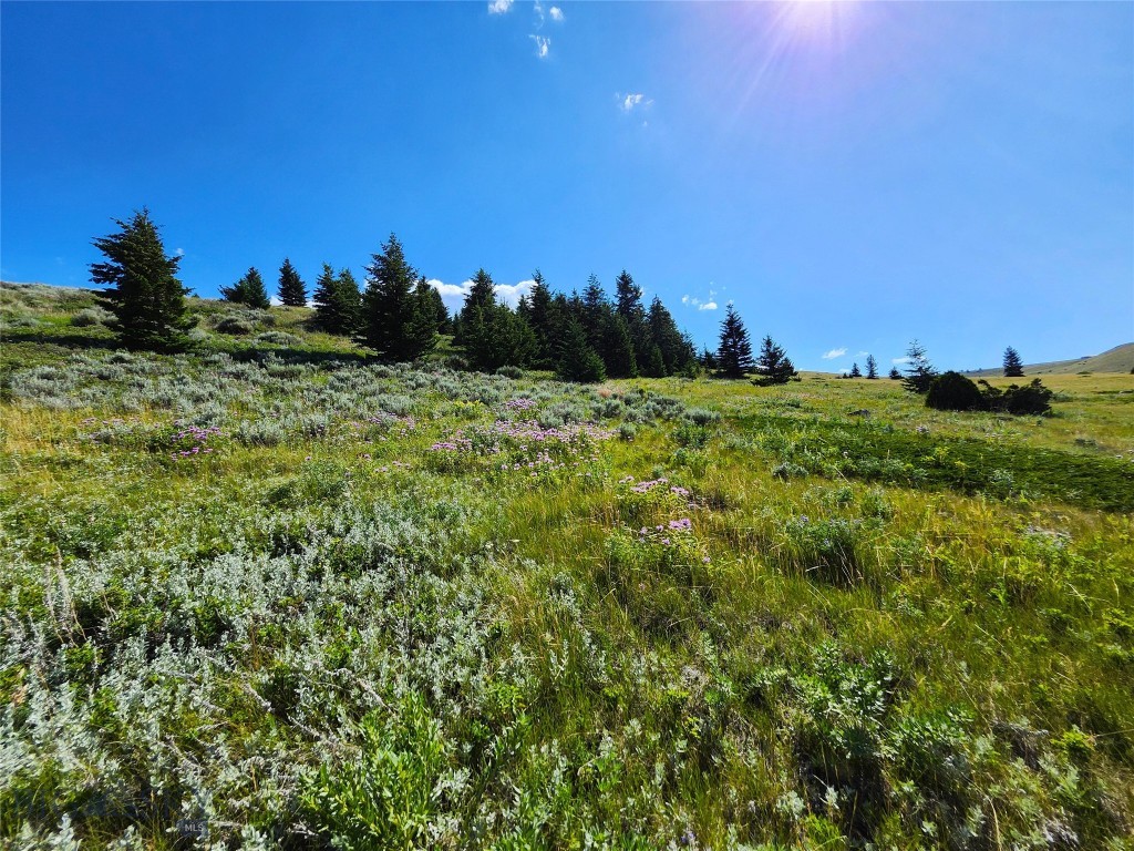 Tbd Wineglass Loop S Property Photo 18
