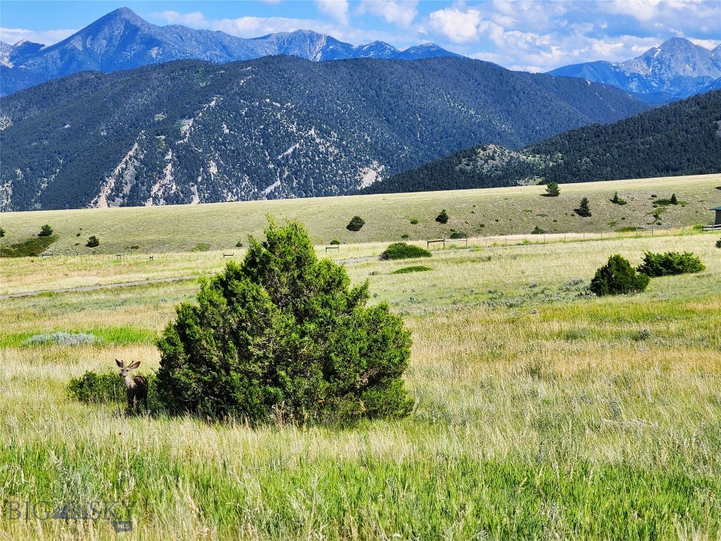 Tbd Wineglass Loop S Property Photo 22