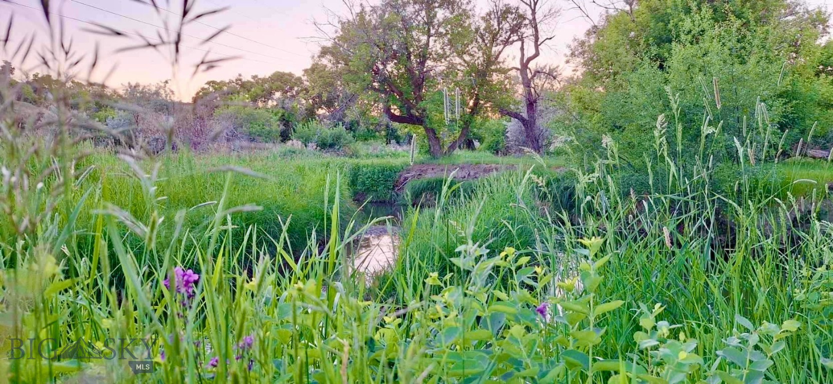 0 Belly Acres Property Photo 2