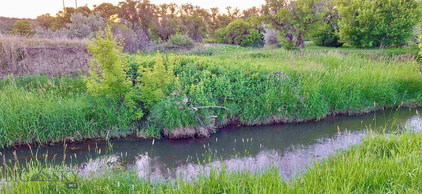 0 Belly Acres Property Photo 4