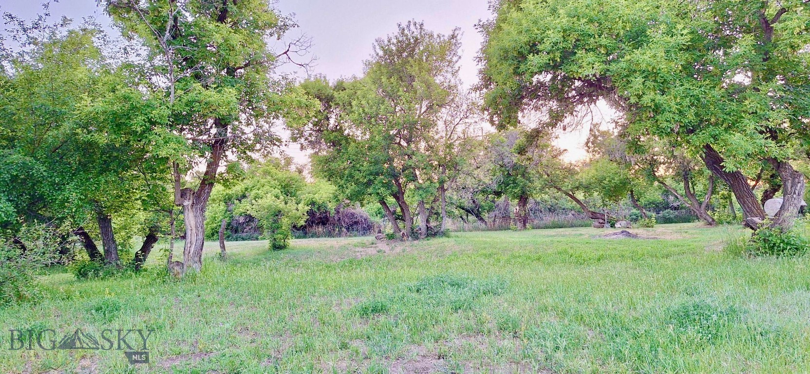 0 Belly Acres Property Photo 13