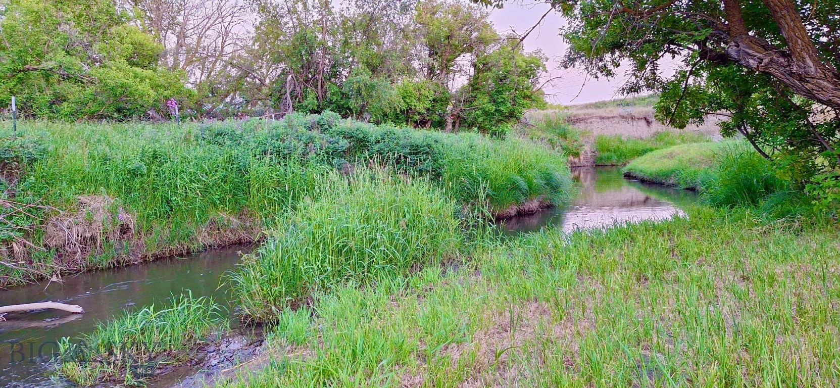 0 Belly Acres Property Photo 19