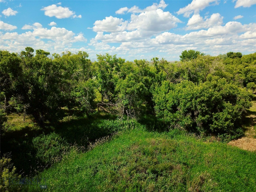 0 Belly Acres Property Photo 37