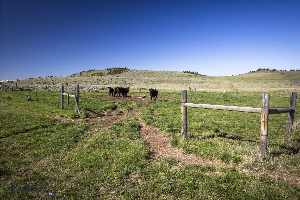 Tbd Skinner Road Property Photo 10
