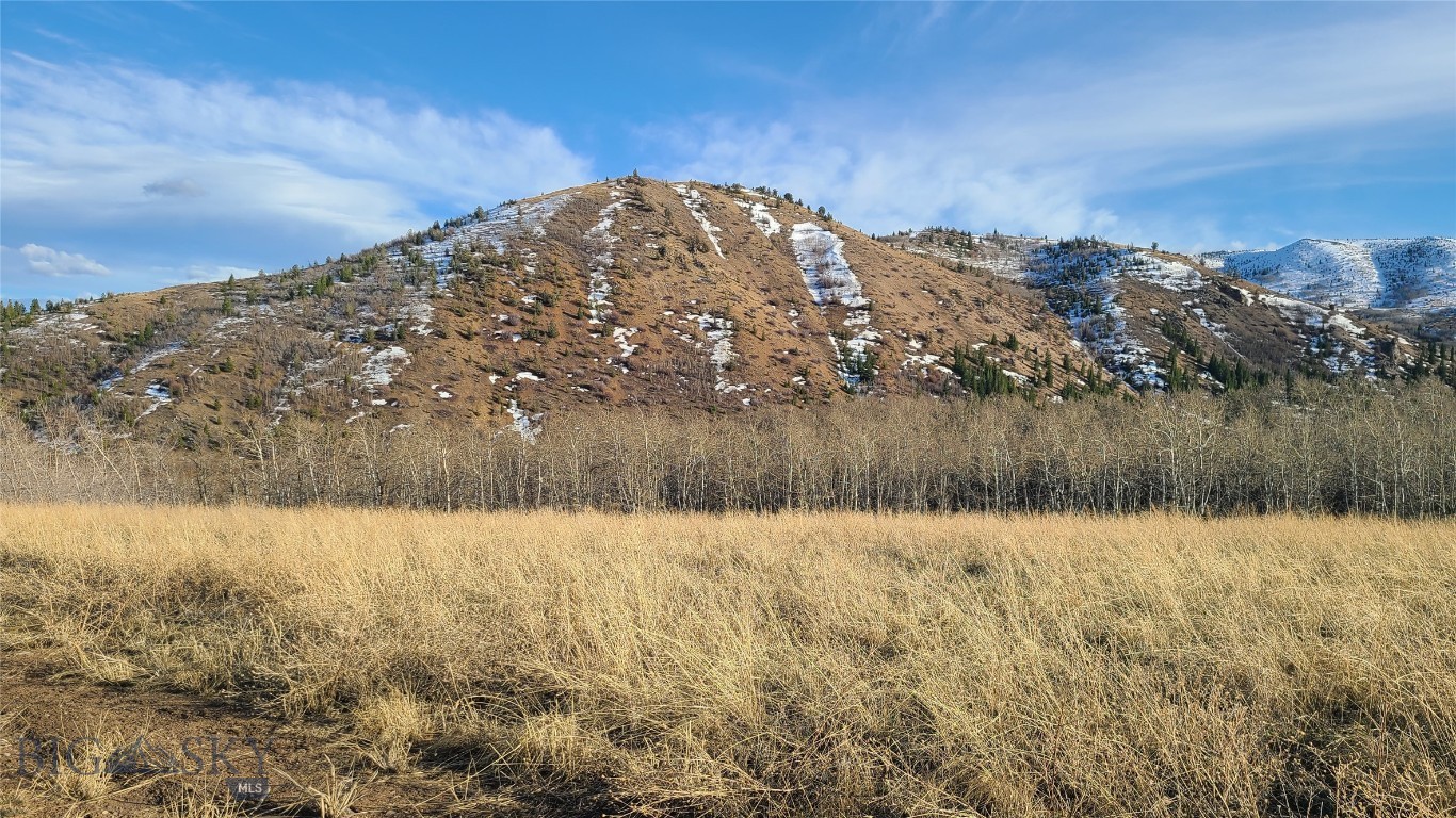 101 Bear Paw Trail Property Photo 3