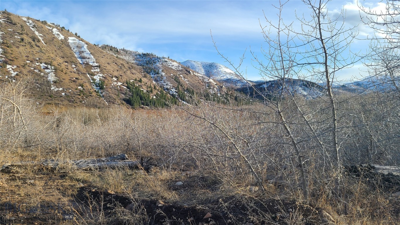 101 Bear Paw Trail Property Photo 4