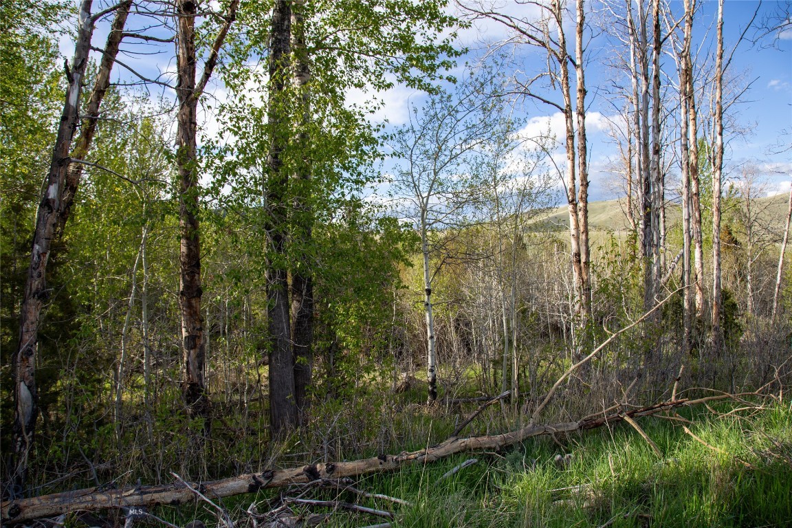 Lot 5 Wey's View Property Photo 6