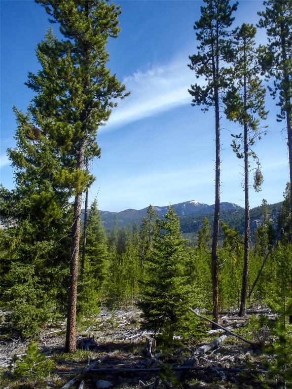 Nhn Herring Flats Road Property Photo 26