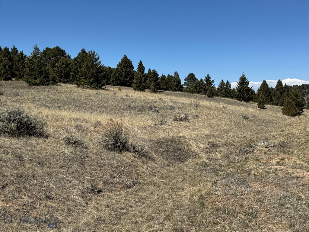 Lot 86 Downhill Lane Property Photo 1