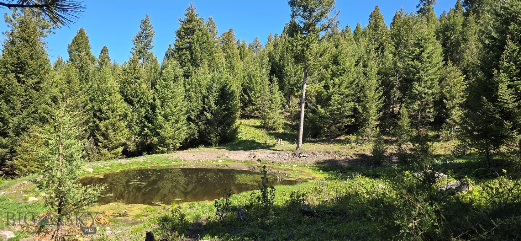 4 Tract, Bull Elk Property Photo