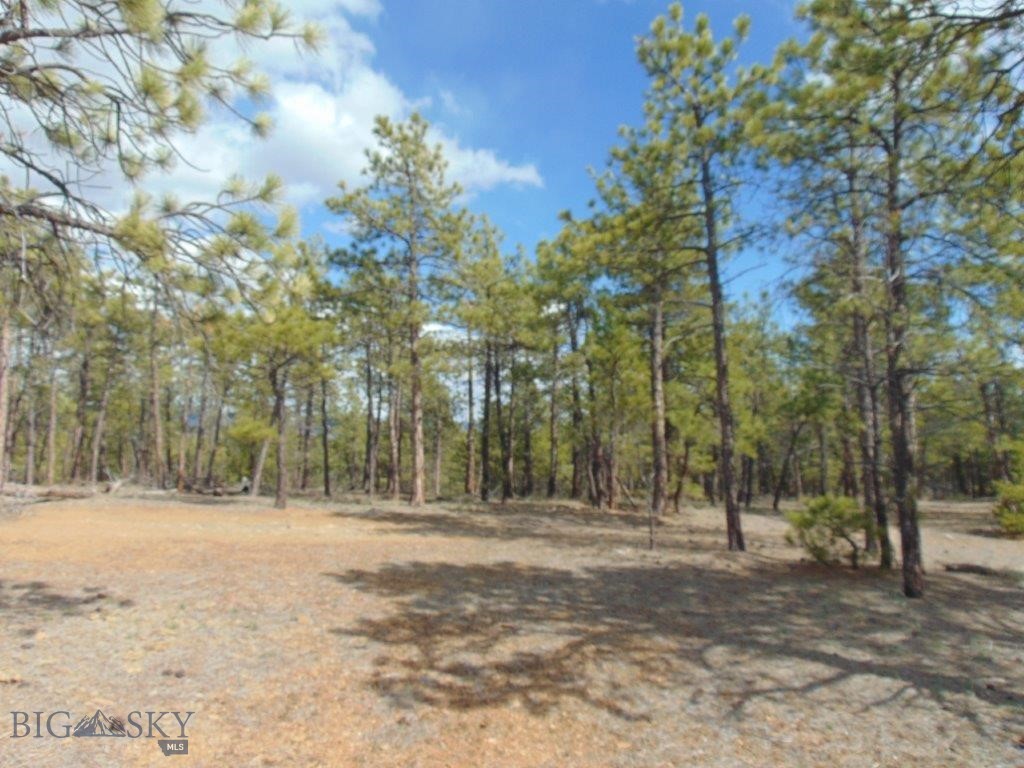 29 Sweetwater Rd Property Photo