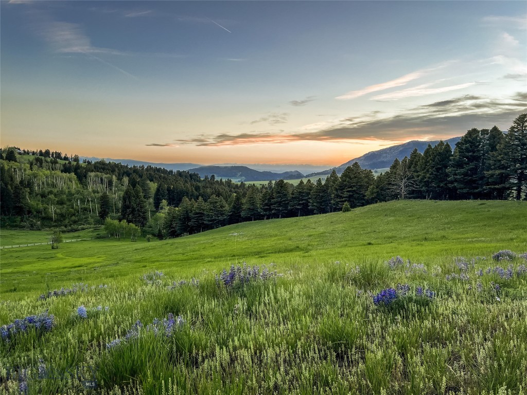 900 Cloud Nine Road Property Photo 68