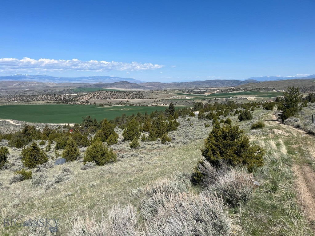 Lot 262 Lone Wolf Property Photo