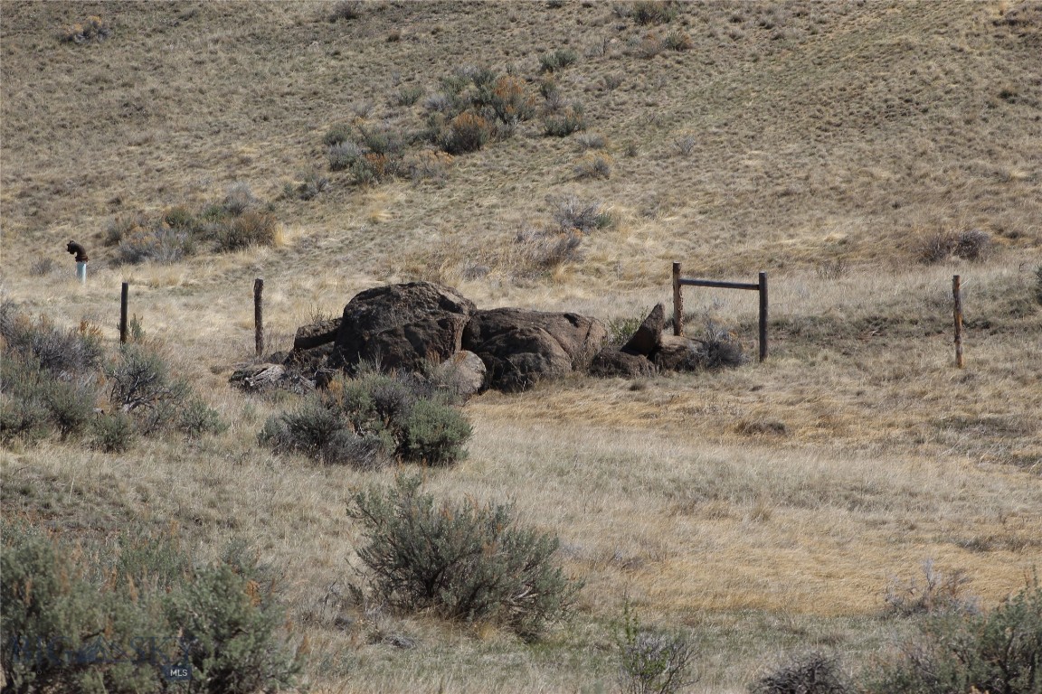 Tbd Patterson Property Photo 4