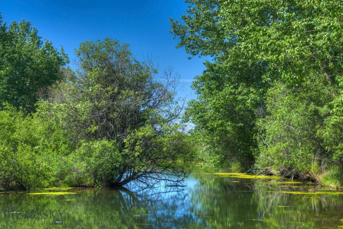 13830 (lot A) Cottonwood Road Property Photo 3