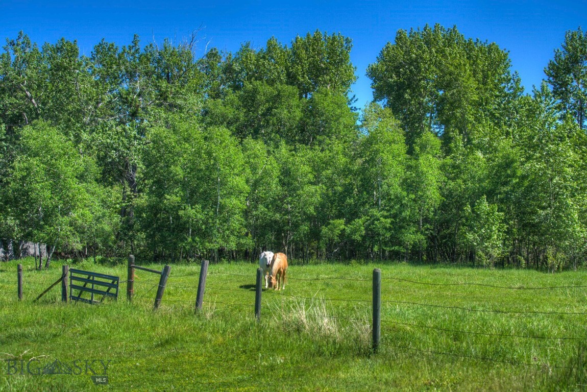 13830 (lot A) Cottonwood Road Property Photo 5