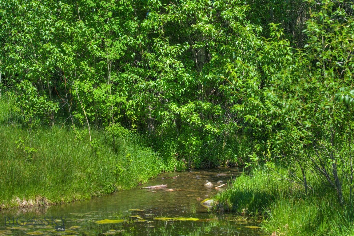 13830 (lot A) Cottonwood Road Property Photo 6