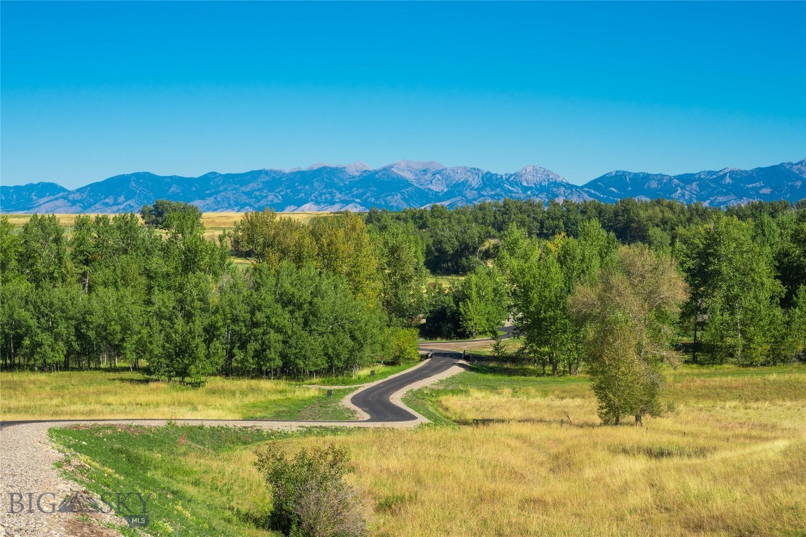 13830 (lot A) Cottonwood Road Property Photo 10